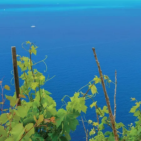 Apartmán 4 Bedroom Nice In Luka Luka (Dubrovnik-Neretva)